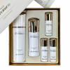Сыворотка для лица антивозрастная 100мл Te'rvina Regenerating Serum Special Set Isa Knox