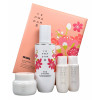 Набор по уходу за лицом Yehwadam Jeju Magnolia Brightening Serum Special Set The Face Shop